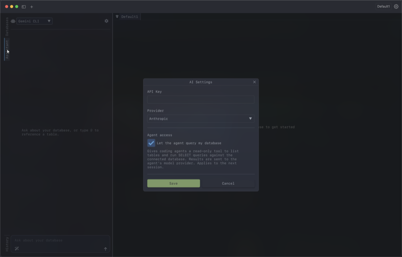 The AI Settings dialog, with the API key, provider, and the agent access toggle